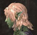 Exclusive hair - sylvari male 1 side.jpg