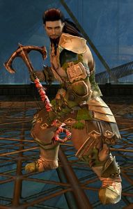 Halmi Hammerfell.jpg