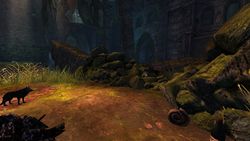 5. Lost in the rubble. At the Abandoned Outpost, by a pile of rubble near a campfire.