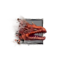 Juvenile Salamander Drake.png