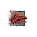 Juvenile Salamander Drake.png