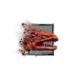 Juvenile Salamander Drake.png
