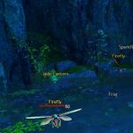 Lighting Echovald location 43.jpeg