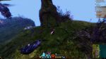Skyscale Egg 15.jpg