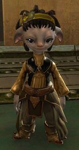 Black Lion Vault Security Representative.jpg