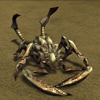 Lashtail Devourer.jpg