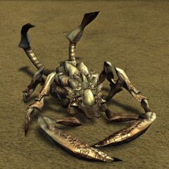 Lashtail Devourer.jpg