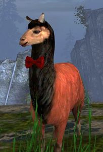 Lost Fancy Emperor Llama.jpg