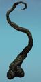 Reaching Twisted Tree.jpg