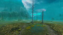 The Wrinkled Wetlands.jpg