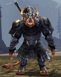 Veteran Zealot.jpg