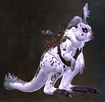 Windy Spot.jpg