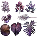 Render of Branded Ascalonian foliage.
