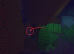 Dark Woods dig spot 2.jpg