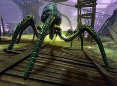 Elite Toxic Spider.jpg