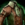 Magician Coat.png