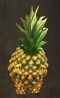 Mini Castoran Choya.jpg