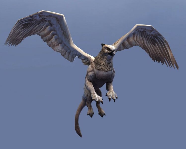 File:Owl Griffon (flying).jpg