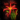 Preserved Red Iris (Master).png