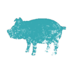 Proxemics Lab Pig.png