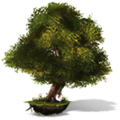 Thumbnail for version as of 17:08, 25 April 2023