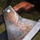Reclaimed Focus.png