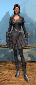 Appearance on light armor.