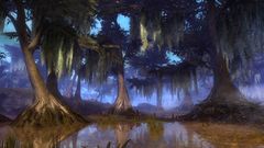 The Lawen Ponds.jpg