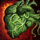 Vine Heart.png