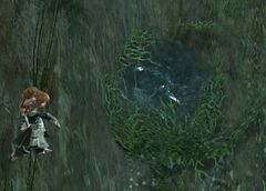 Watery Grave.jpg