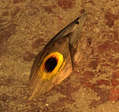 Ancient Itzel Totem.jpg