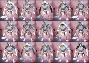 Charr female fur patterns.jpg