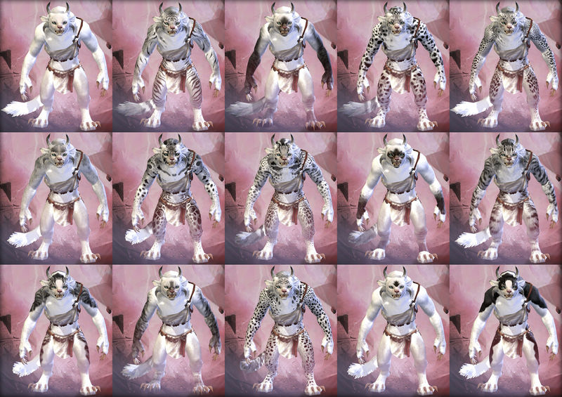 File:Charr female fur patterns.jpg
