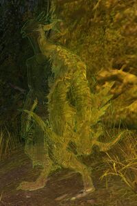 Kestrel Floi Grubbeak.jpg