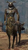 Musa Sandskin.jpg