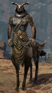 Musa Sandskin.jpg