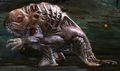Quaggan form.