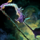 Stone-Growth Longbow.png