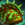 Wurmslayer's Pauldrons.png