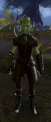Wyld Hunt Scout.jpg
