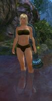 Aetherblade (female).jpg