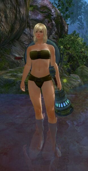 File:Aetherblade (female).jpg