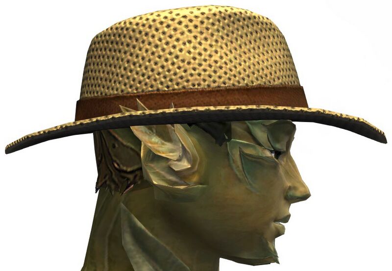 File:Beach Hat sylvari male side.jpg