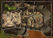 Dry Top (80)