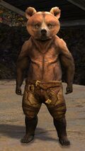 Kodan Cub (light brown).jpg
