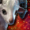 Mini Ram.png