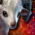 Mini Ram.png