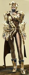 Mist Shard armor (medium) norn female front.jpg
