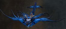 Open Ocean Glaucus.jpg
