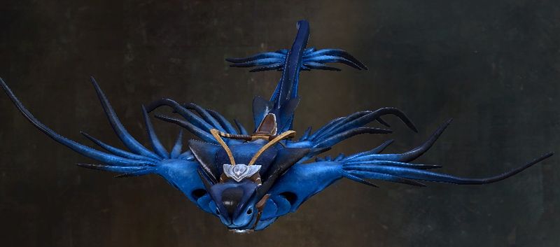 File:Open Ocean Glaucus.jpg